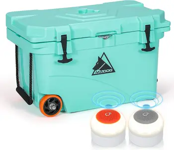 Rolling Cooler with Bluetooth Speaker 1