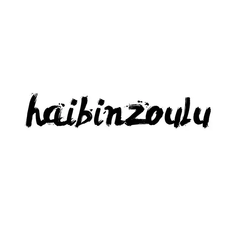 haibinzoulu Store