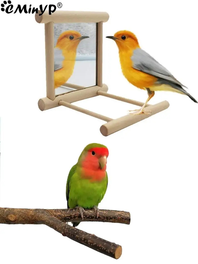 Bird Mirror Wooden Interactive Play Toy With Perch For Small Parrot Budgies Parakeet Cockatiel Conure Lovebird Cage Accessories bird toy