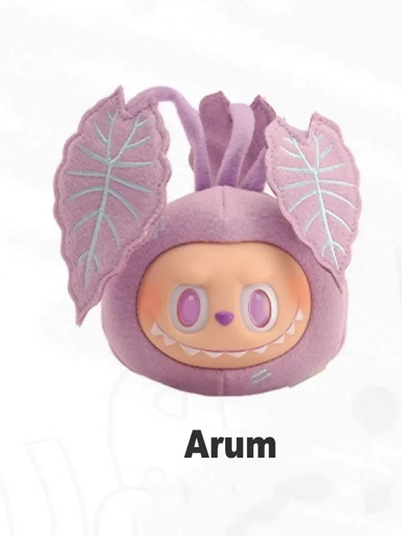 Arum