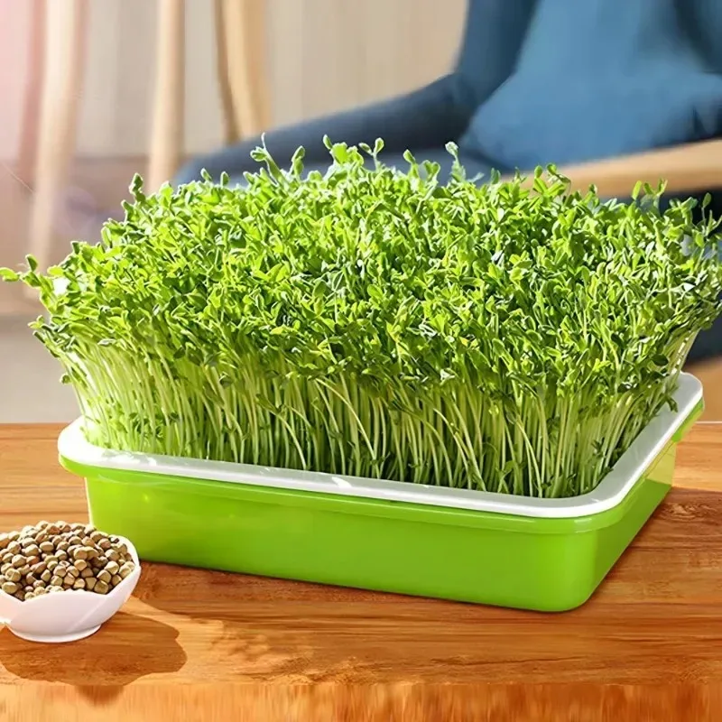 Double-Layer Microgreens Hydroponic Germination Tray - Soilless Cultivation System
