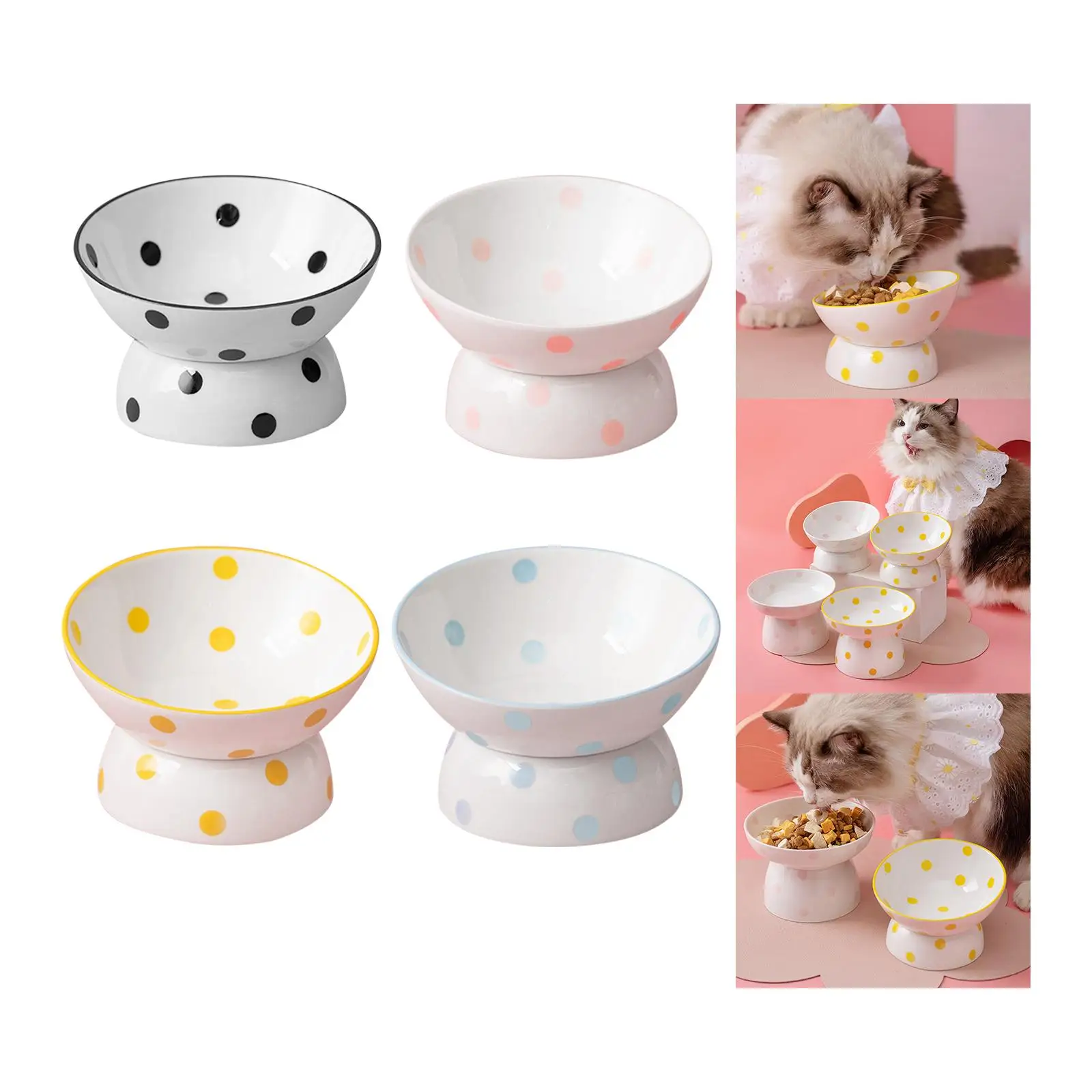 Ceramic Elevated Cat Feeder Bowl Slant Porcelain Pet Cat Dish Shallow Bowls Snack Bowl