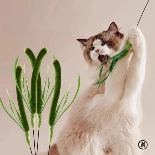 Cat Interactive Toy Tail Grass Cats Sage Feather Toy Long Pole Kitten Teasing Stick Bite Resistant Sound Toy Cat Supplies 3