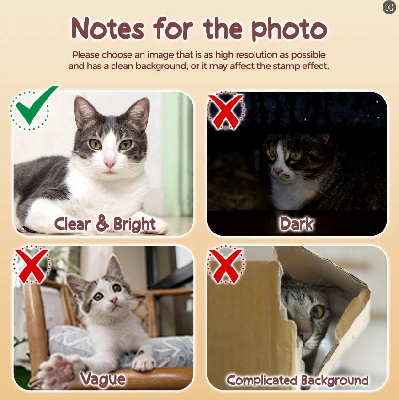 Custom Pets Cushion Personalized Filling Pets Photo Cushion DIY Pillow for Putting Picture of Cats and Dogs Home Decor 2