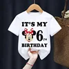 Mickey Minnie Children T-Shirt Disney Birthday Number 1-9 Boy Girl Clothes Kid Kawaii Anime Cartoon Little Baby Casual Tee Shirt 1