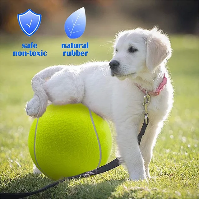 24cm Dog Chew Toys Tennis Ball Large Pet Toys Funny Outdoor Sports Dog Ball Gift with Inflating Needles Dog Toys for Large Dogs 3
