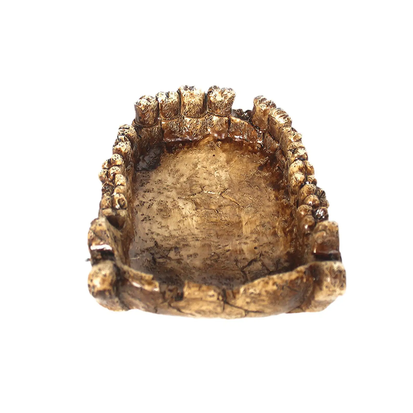 Reptile Feeding Bowl Resin Decorations Bathing Bowl Turtle Bath Terrarium Plate for Frogs Chameleon Pet Supplies Lizards Gecko