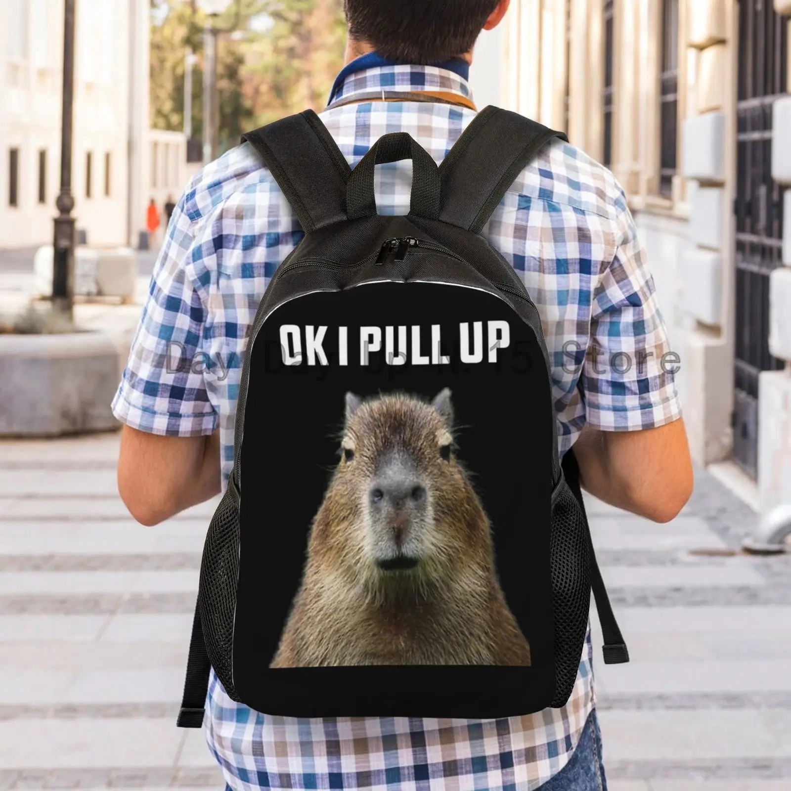 Capybara  Ϳ  賶, б Ʈ å, ִϸ̼ ҳ л 