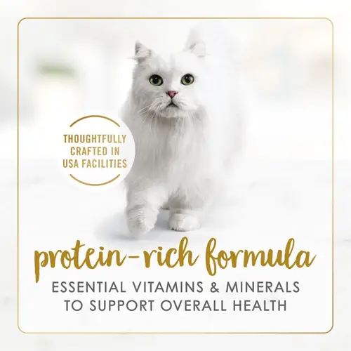Purina Delights Wet Kitten Food with Cheddar Cheese Flavor, Grilled Texture, 3 oz Cans High-Protein, Tender in Sauce, Perfect f - Image 3