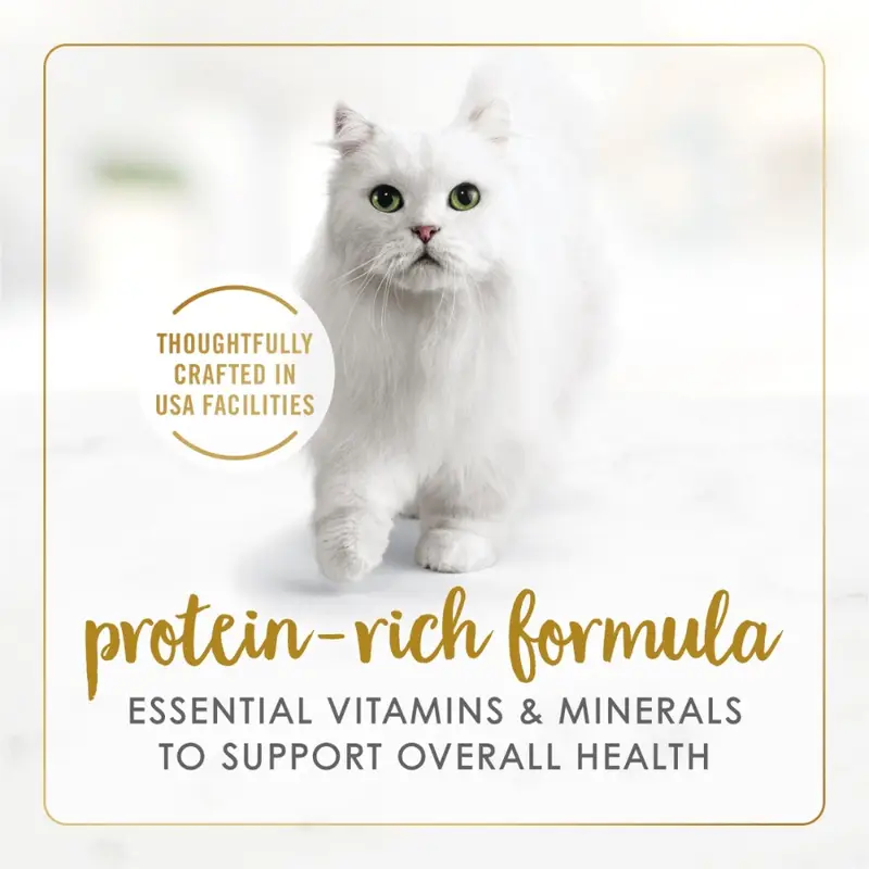 Purina Delights Wet Kitten Food with Cheddar Cheese Flavor, Grilled Texture, 3 oz Cans High-Protein, Tender in Sauce, Perfect f - Image 3
