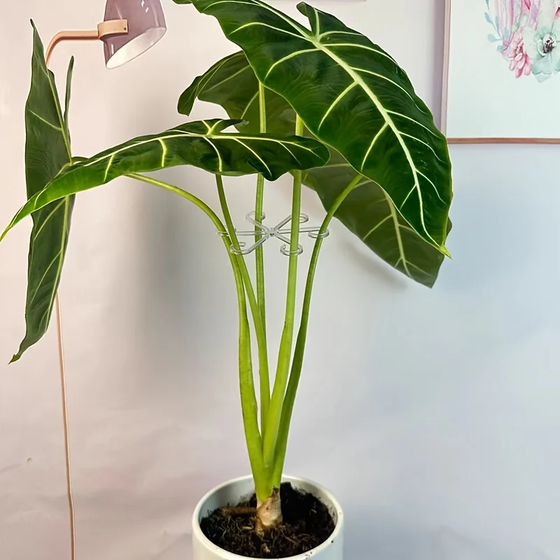 Plant anti-toppling steun - afbeelding 5