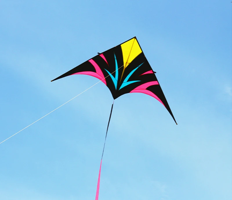 Professional large delta kite with reel and line