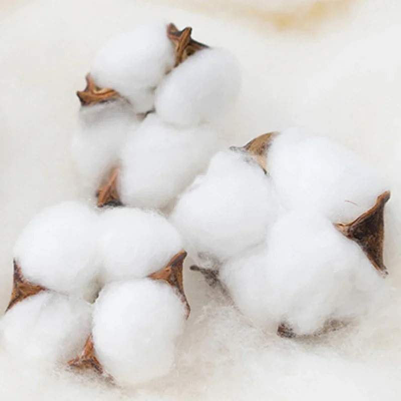 Ins ���� �� ����Ʈ ���� ��ƾ ħ�� ��Ʈ, Ǯ ������ �̱� ���� �̺� ħ�� ��Ʈ, 100% �̺� Ŀ�� ��Ʈ