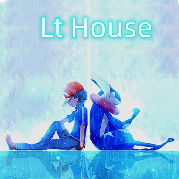 Lt House Store
