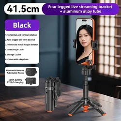 Compact Selfie Stick with Bluetooth Remote - Portable Phone Holder for Travel and Daily Photography (Black)