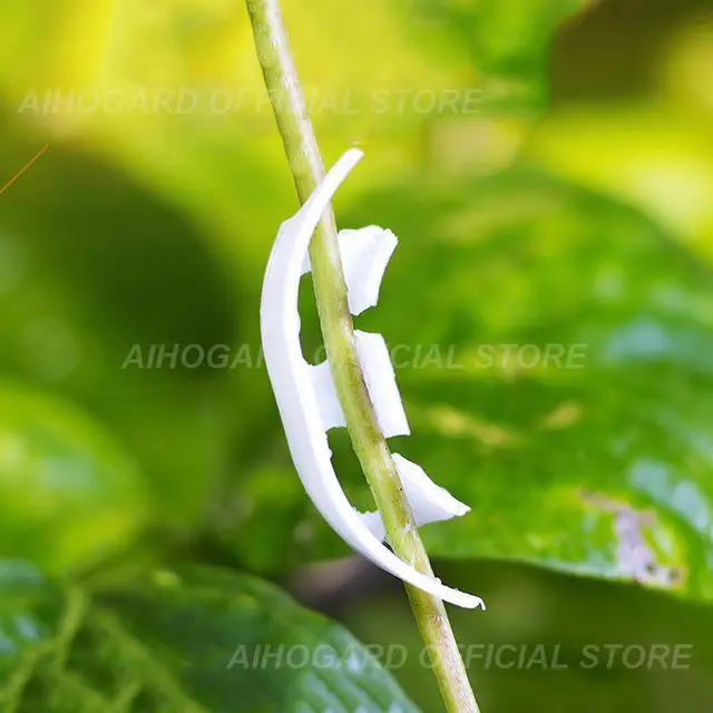 Paradicsom Rögzítő Klip Gyümölcsöntető Megerősítő Tüske Fogantyú Kanyargenyőgátló Görögdinnye Függő Palánták Mand - Image 4