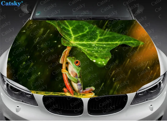 Tier-Frosch Druck Auto Aufkleber Auto Haube Wrap Aufkleber Vinyl Aufkleber  Volle Farbe Grafik Auto Haube Wrap Aufkleber Vinyl aufkleber - AliExpress