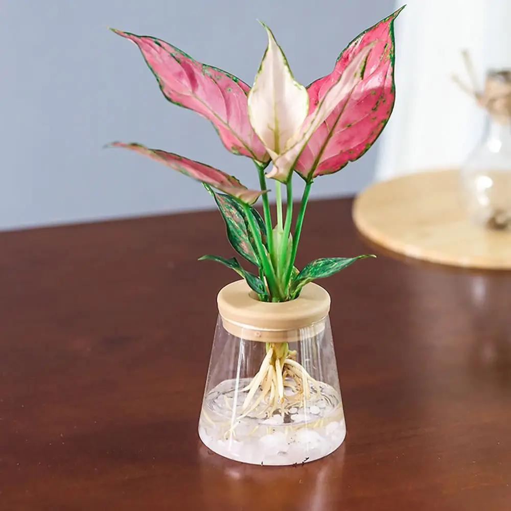 

Transparent Aquatic Plant Resin Material Hydroponic Flowerpot Garden Supplies Flower Planter Home Decor