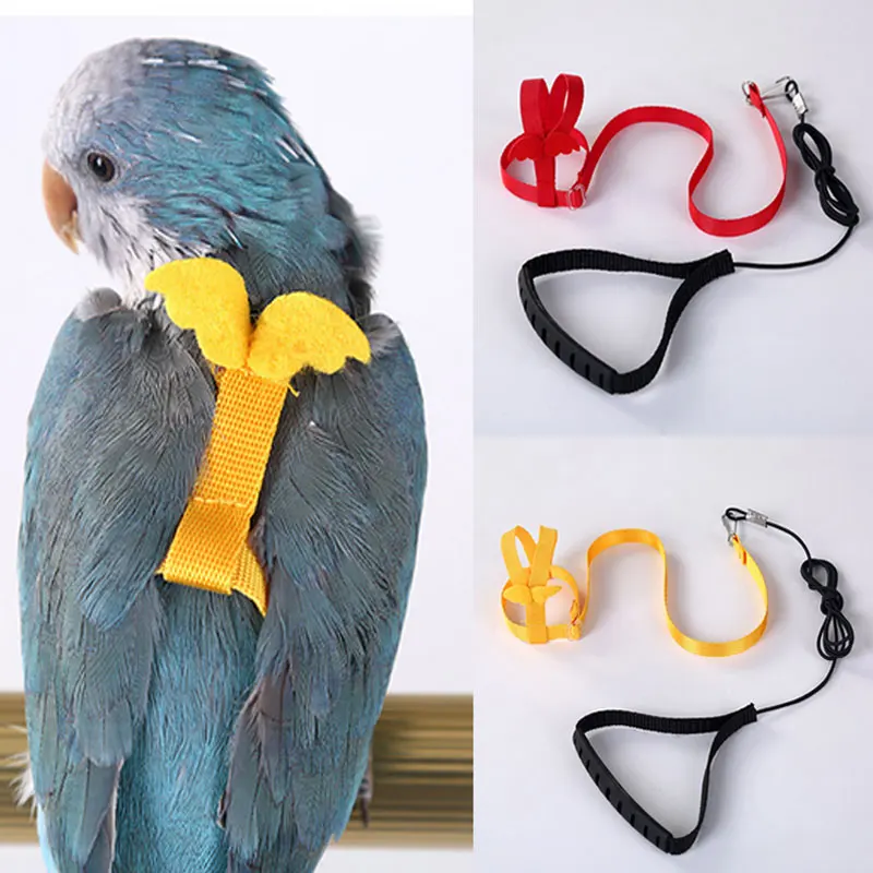 

Регулируемый поводок для попугаев, набор аксессуаров для обучения против укусов, для попугаев, летающая веревка для маленьких птиц
