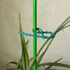 25/50/100Pcs Reusable Garden Cable Ties Adjustable Plastic Cable Ties Tools Plant Support Shrubs Fastener Tree Locking Nylon 4