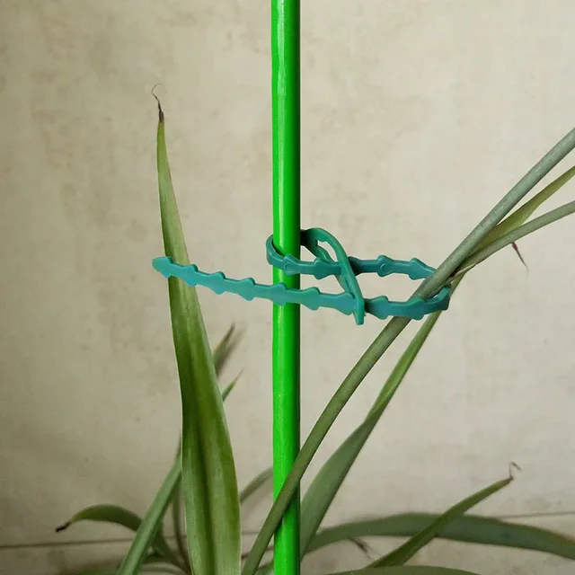 25/50/100Pcs Reusable Garden Cable Ties Adjustable Plastic Cable Ties Tools Plant Support Shrubs Fastener Tree Locking Nylon 4