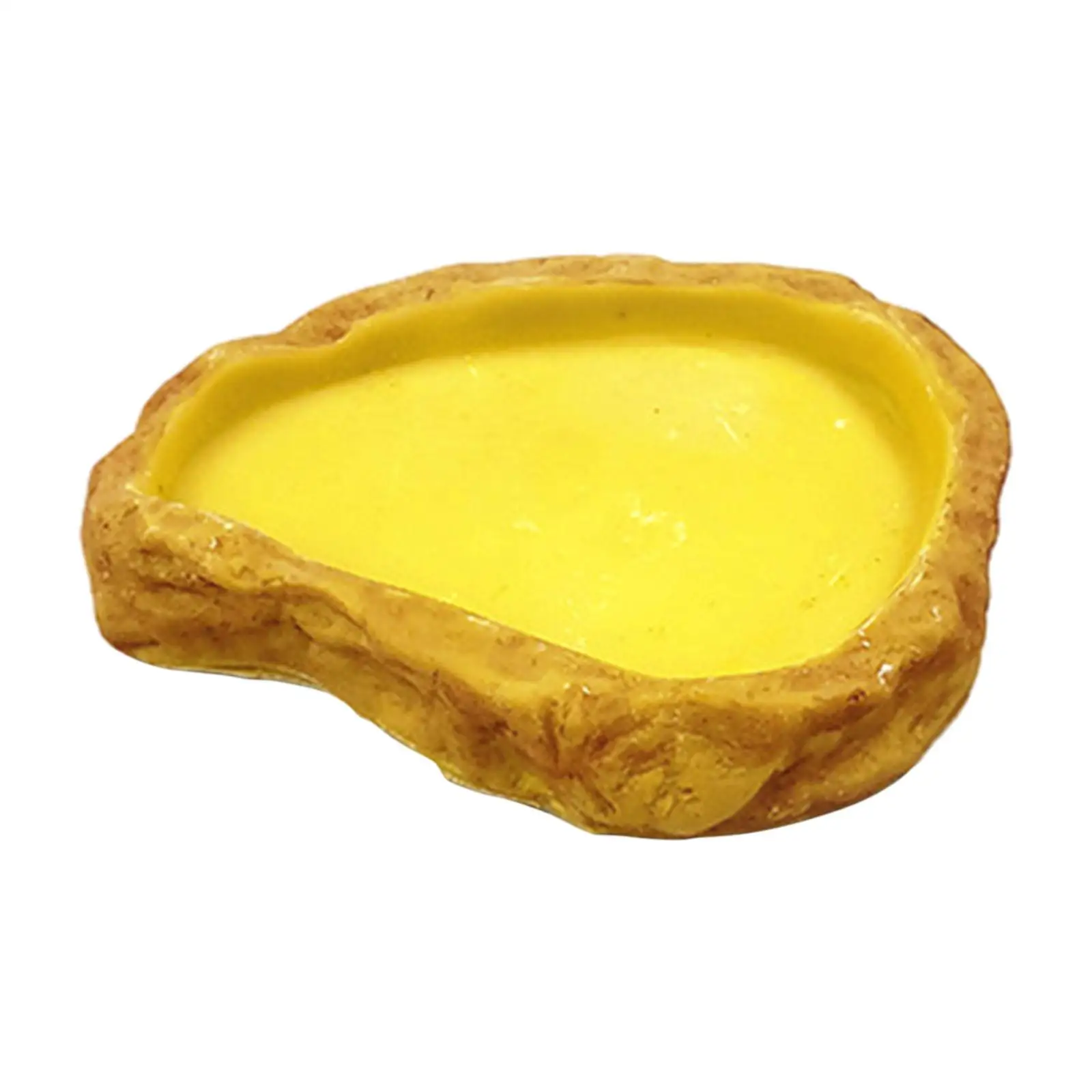 Reptile Water Bowl Resin Terrarium Water Dish Feeding Bowl Reptile Feeder for