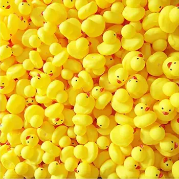 Mini Duck Set 1