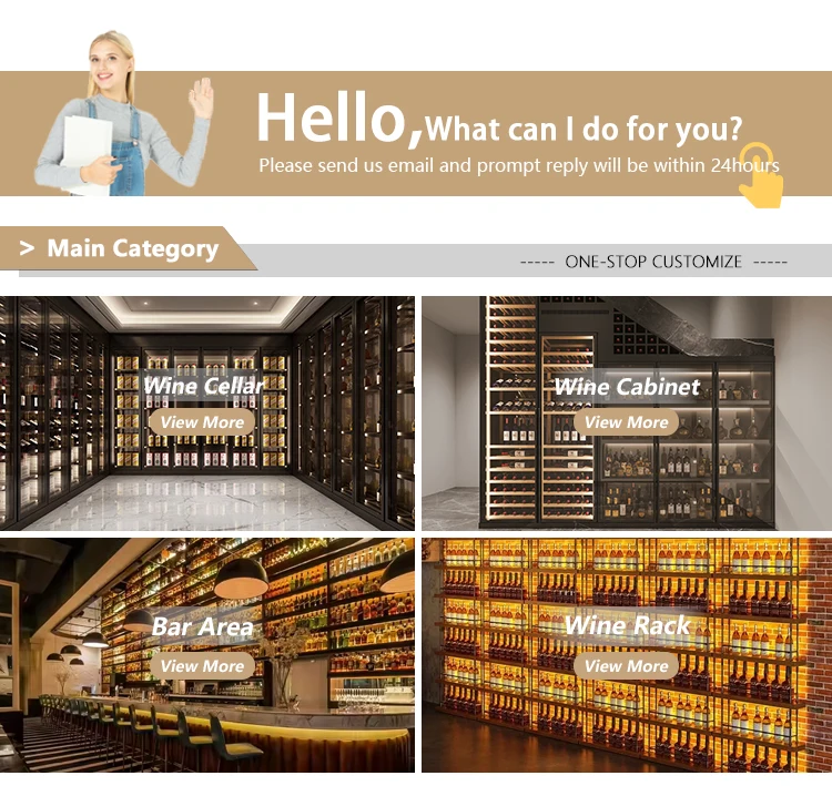 Stainless Steel Wine Storage Display Electric Wine Bottle Cooler Dual-Zone Chiller