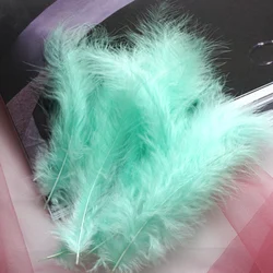 50pcs Fluffy White Turkey Feathers for DIY Wedding Dress and Jewelry Decor (Light blue green)