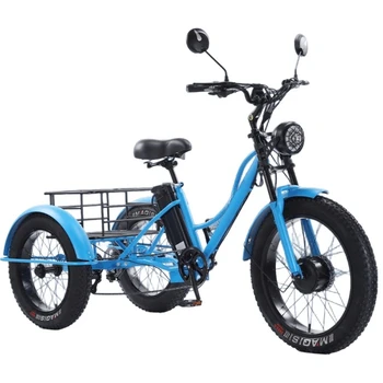 Bicicletta Elettrica per Uomo, 24 Pollici, 750W, 48V, Veicolo Elettrico a Tre Ruote con Pneumatici Larghi, Potente Triciclo Elettrico per Adulti e Anziani