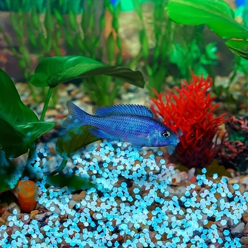 Aquarium Decoration Stones for Outdoor Garden Aquarium DIY