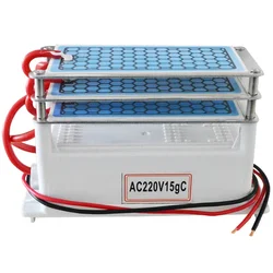 High-Efficiency Ozone Air Purifier and Home Sterilizer System (15g 220V)