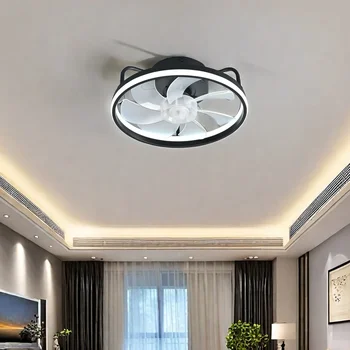 2-in-1 Smart Modern Ceiling Fan 1