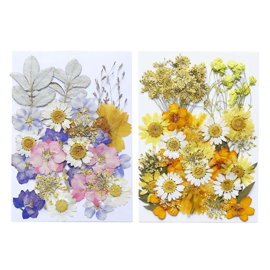 1 Bag Pressed Mixed Organics Natural Dried Flowers Diy Art Handicraft Gift Jewelry Findings