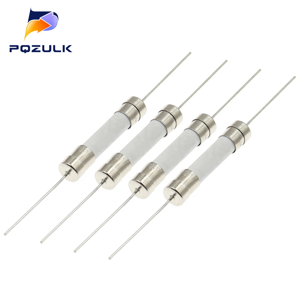 

100PCS 6X30MM Ceramic Fuse With Pin 8A 10A 15A 20A 25A 30A 250V 6*30MM Pin Blow Fuse With legs