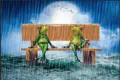 107 Frogs