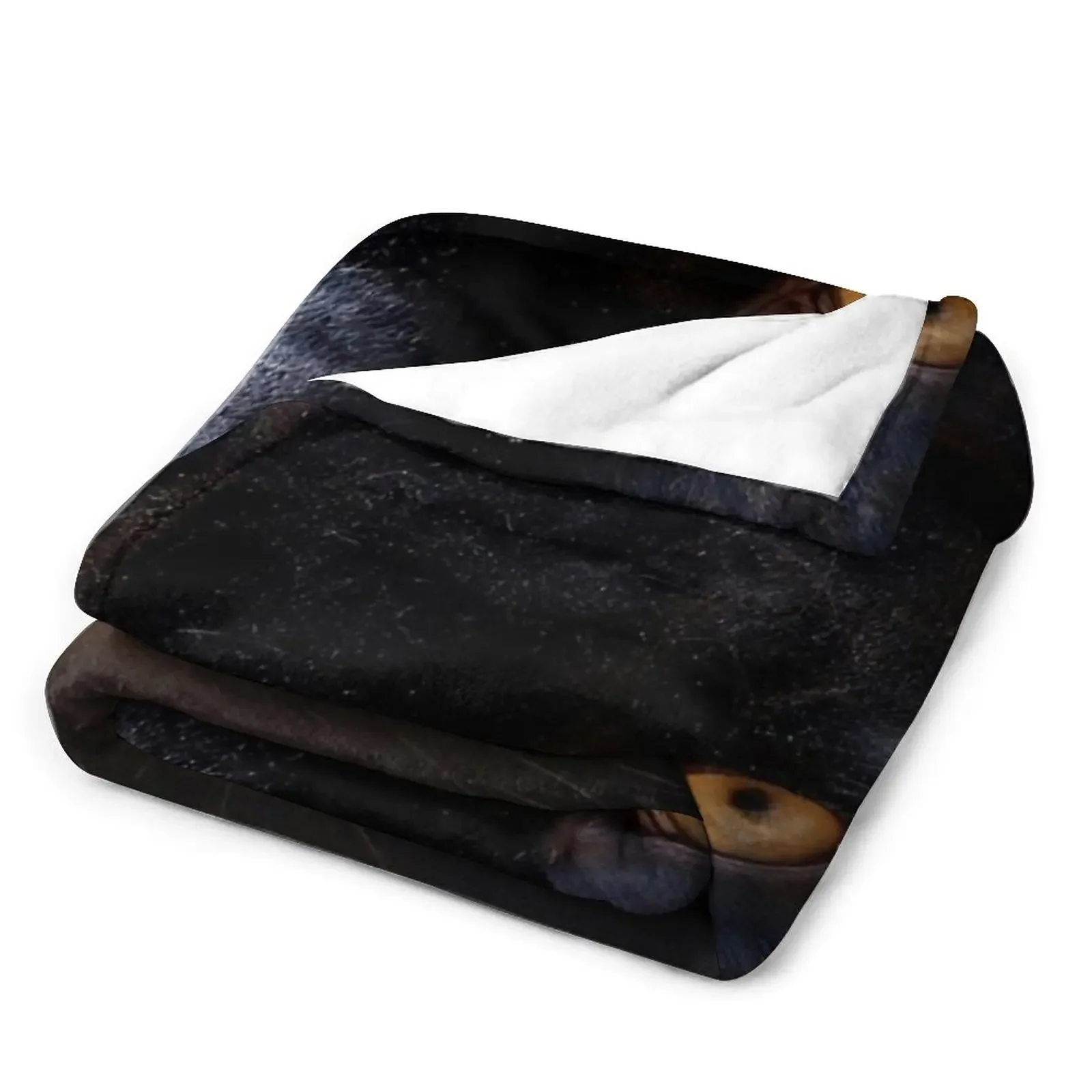 ���� �Ҽ� ������ ���, ǫ���� ���� �ö��� ���� �̺� ���