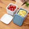 Kitchen Fruits Vegetables Storage Box Fridge Ginger Scallion Onion Fresh-keeping Container Food Drain Crisper Organizer 4