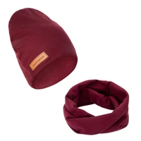 Faux Cashmere Kid Hat with Scarf Set Fashionable Child Cap with Scarf Warm & Stylish Kids Winter Essential set 2