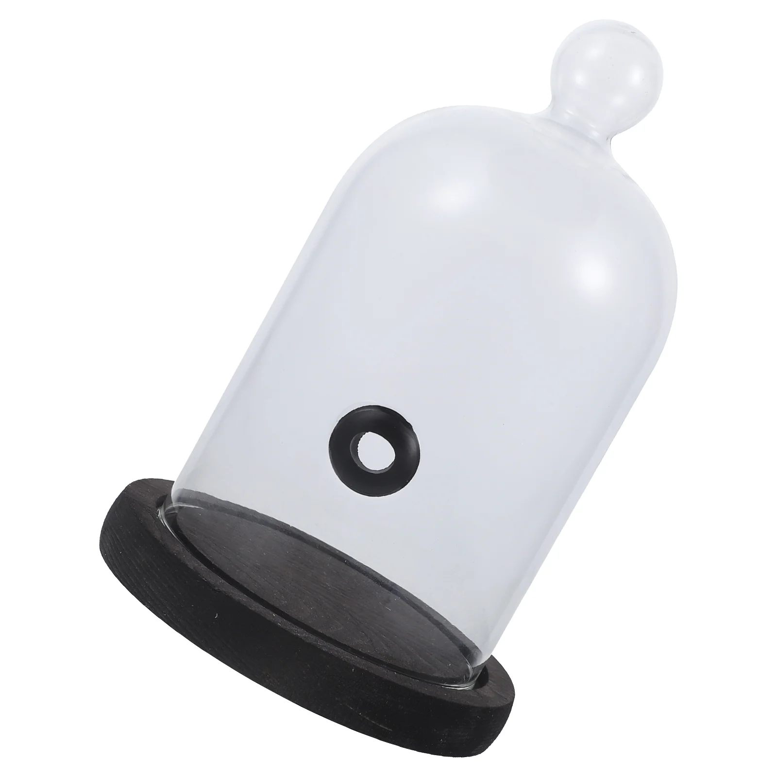 

Glass Fume Hood Cake Cover Smoke Lid Dessert Smoking Snack Water Tank Western Cuisine