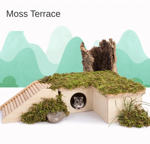 Natural Dried Moss Hamster Bedding Hamster Nesting Digging Supplies Hamster  Cage Decoration Hamster Accessories Hamster Litter - AliExpress