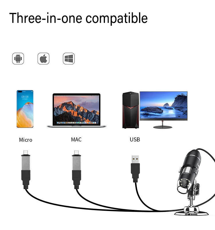 microscope magnification details 500x 1000x 1600x