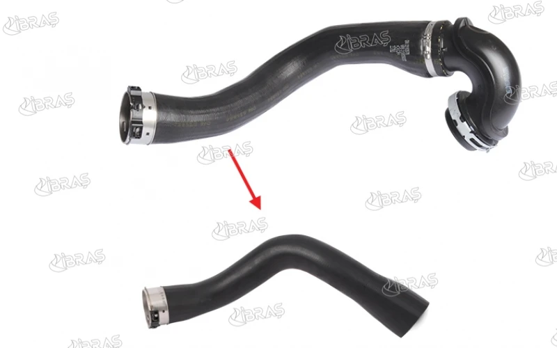 Codice Negozio: Muslimate