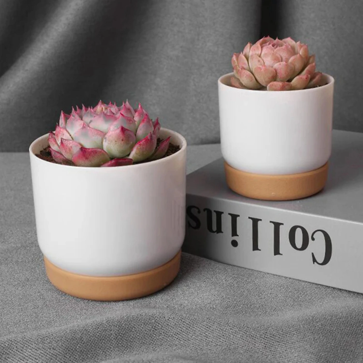 Double-Layer Succulent Pot 4