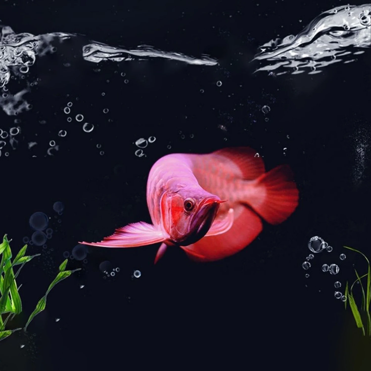 Slide image a43d97eb26dc44038630e8864f44783b