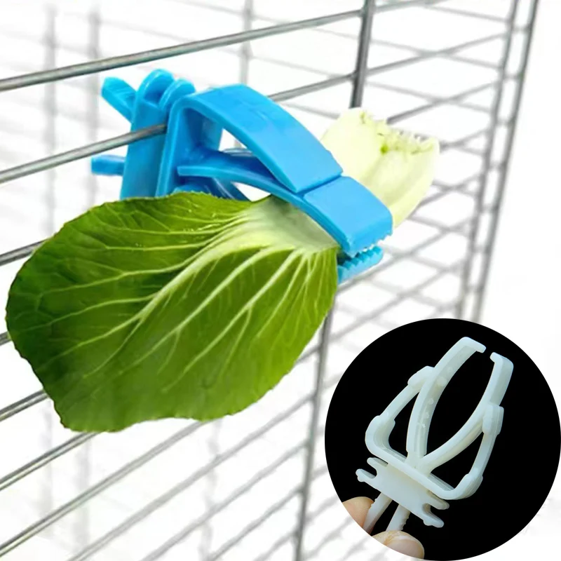 1Pcs Small Pet Bird Food Holder Parrot Fruits Vegetables Clip Cuttlefish Bone Feeder Device