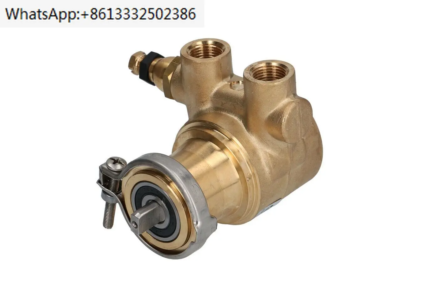 Rotoflow Pa204 Pompa Rotativa 3/8 200L/H Npt Coffee Fluid O Tech Rancilio Cimbali