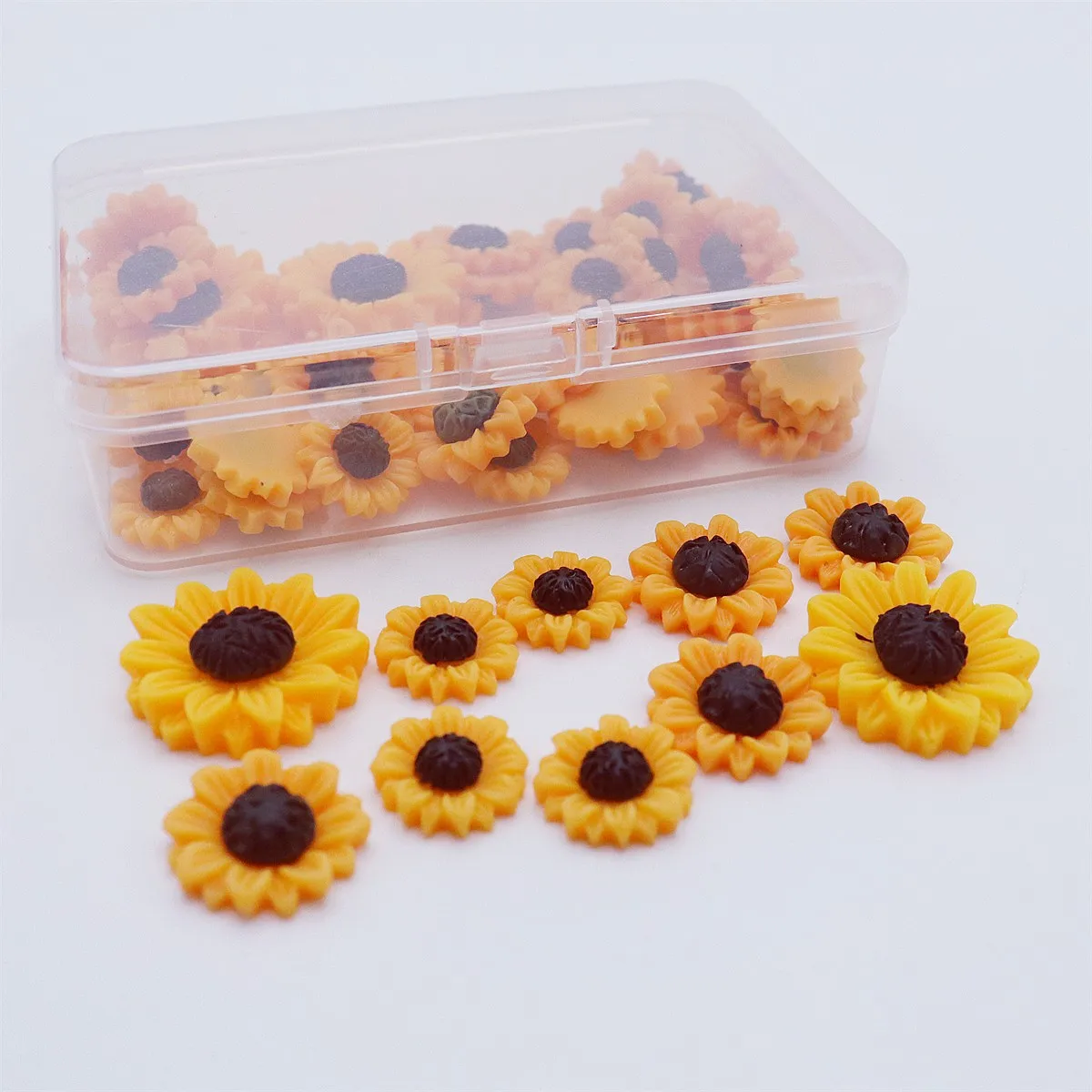 dsc-products