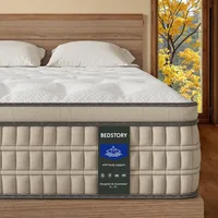 Mattress 12 inch - Pain-Relieving Hybrid for Extra Lumbar & Hip Support - -Isolation Bed in a Box - Fiberglass-Free, Mattresses 1