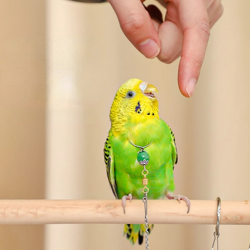 Bird Parrot Foot Chain Stainless Steel Ankle Foot Ring Stand Chain Outdoor Flying Training Bird Accessories